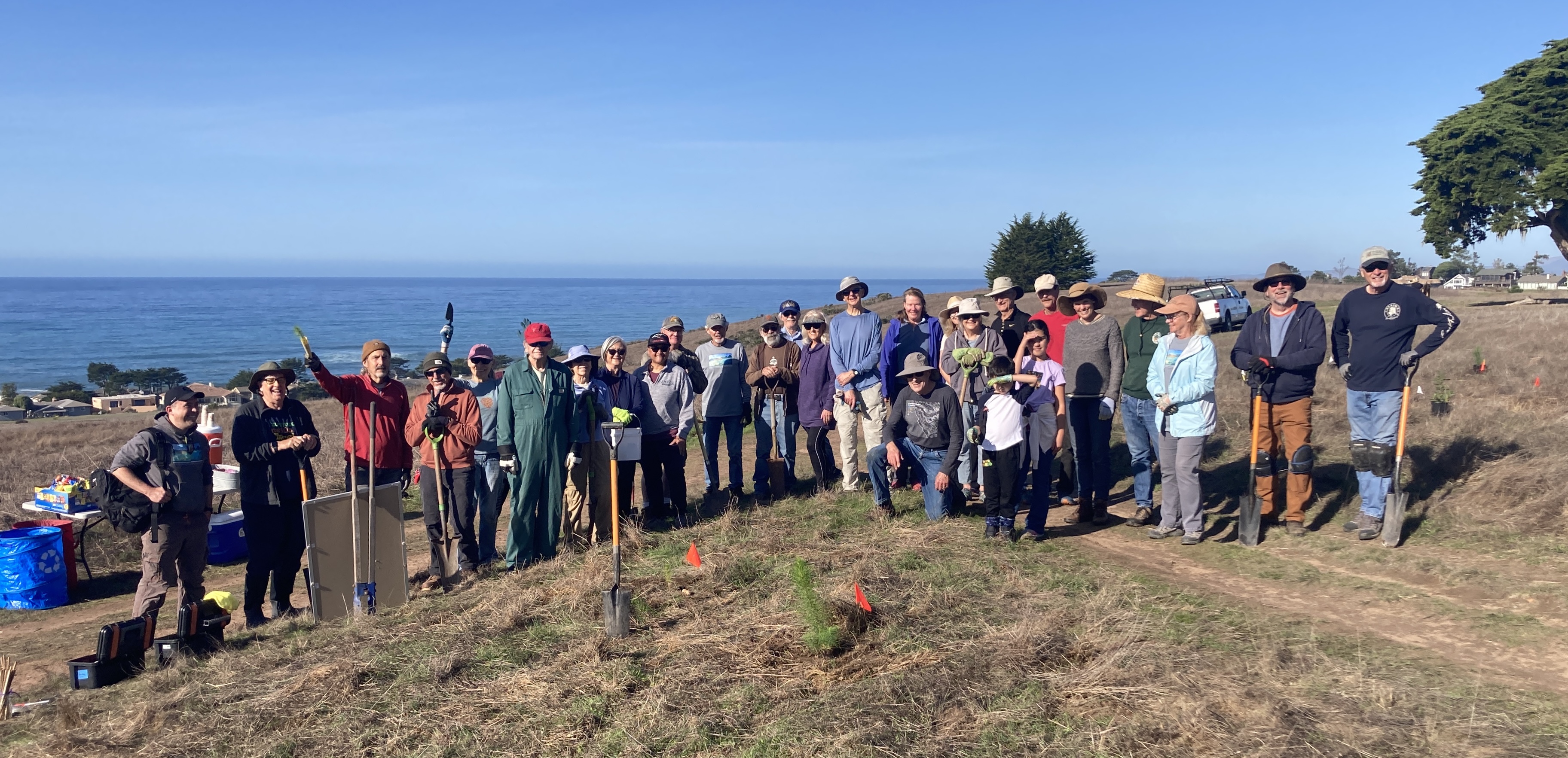 Volunteers standing in a line with the ocean in the background